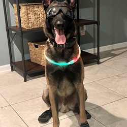Fernandina Beach Animal Clinic
