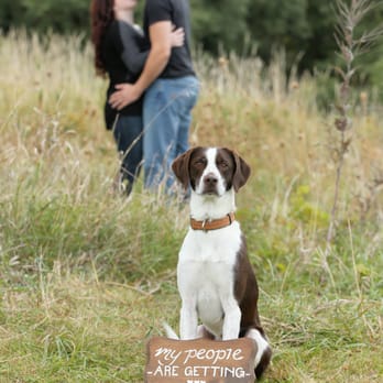 Mueller Photography - Session Photography Near Me - La Crosse, Wisconsin