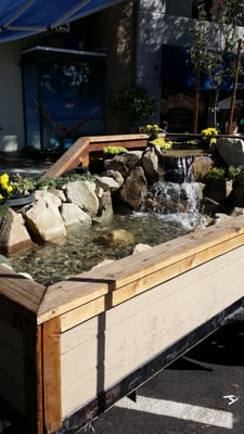 Montrose Farmers Market by null