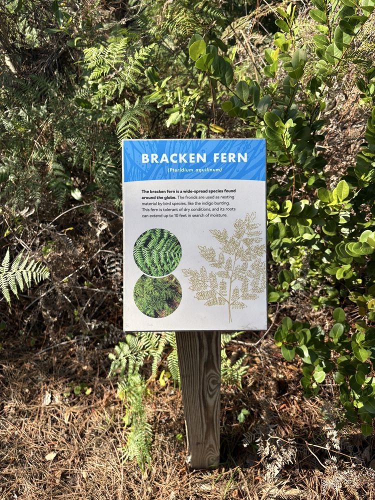 Okeeheelee Nature Center - social services organization in West Palm Beach, FL