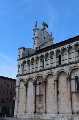 Chiesa di San Michele in Foro by null