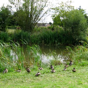 Grange Farm - Small Duckpond, Grange Farm - Bed & Breakfast Near Me - Woolpit, SFK