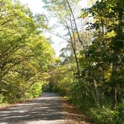 If you walk along the river you can enter a tree lined walking path