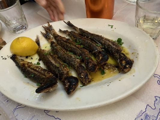 Gregory's 26 Corner Taverna by null