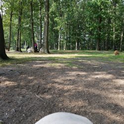 Thompson Dog park