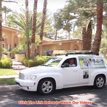 Townsend Pest Control - http://bestlasvegaspestcontrol.com/ - Pest Control Near Me - Las Vegas, Nevada