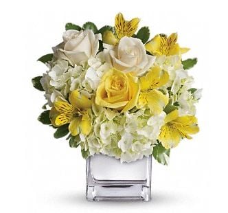 Vernon Flower Shop by null