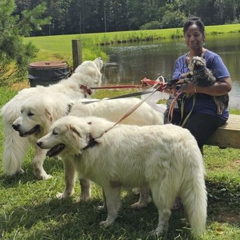 St. Francis Animal Hospital - Shiloh with his Parents, Saint and Paradise, Axel and Me. - Veterinarians Near Me - Durham, North Carolina St. Francis Animal Hospital - Shiloh with his Parents, Saint and Paradise, Axel and Me. - Veterinarians Near Me - Durham, North Carolina
