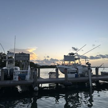 Island Cafe - View from our table. - Seafood Near Me - Everglades, Florida