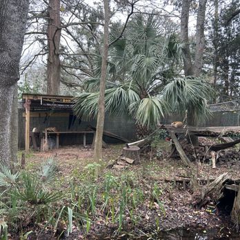 Audubon Zoo - Aquariums Near Me - New Orleans, Louisiana