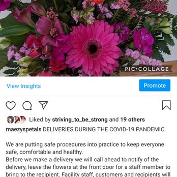 Maezy's Petals - Florists Near Me - Olds, Alberta Maezy's Petals - Florists Near Me - Olds, Alberta