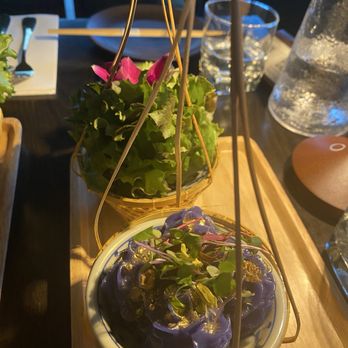 Room Service - Beautiful presentation.  Royal Dumplings. - Japanese Near Me - Milwaukee, Wisconsin