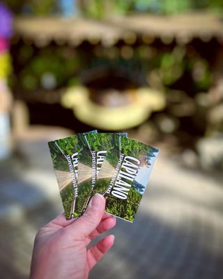 Capilano Suspension Bridge Park by null