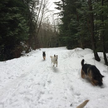 Happy Hound Adventures - Dog Walkers Near Me Happy Hound Adventures - Dog Walkers Near Me