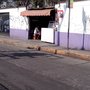Photo of Gorditas de Carnitas