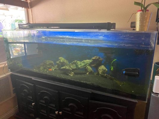 The Fin Shop by null