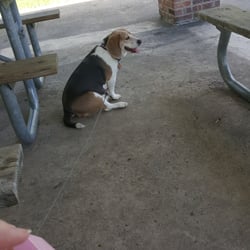 Taking a break