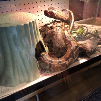 Imagination Station - Children's Museums Near Me - Lafayette, Indiana