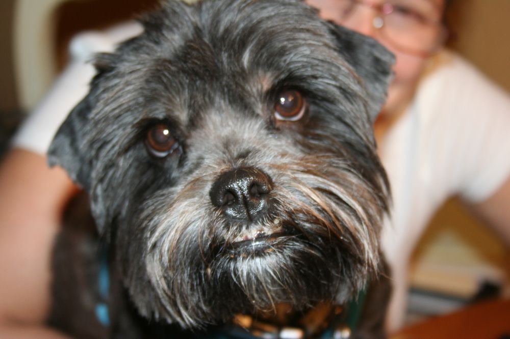 FOUR CORNERS VETERINARY PRACTICE Updated September 2024 24 Photos