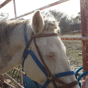 BROKEN BOW RANCH - Updated March 2026 - 45 Photos & 62 Reviews - 1755 E ...