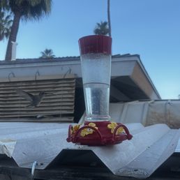 Even the hummingbirds love the vibes here Even the hummingbirds love the vibes here