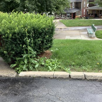 Devico Landscaping - Lawn Services Near Me