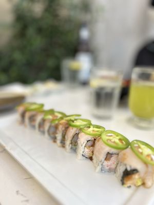 Fish Boon by null