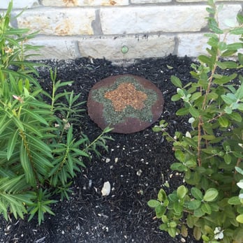 Solstice - A very special "memory stone" for our beloved friend Prana, a Hurricane Katrina survivor dog. - Landscape Architects or Designers Near Me - Dripping Springs, Texas
