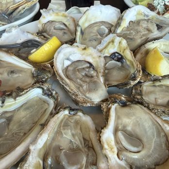Julington Creek Fish Camp - Raw or Steamed Oysters on the Half Shell* - Seafood Near Me - Jacksonville, Florida Julington Creek Fish Camp - Raw or Steamed Oysters on the Half Shell* - Seafood Near Me - Jacksonville, Florida