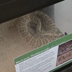 Mcdowell Mountain Park Visitor Center