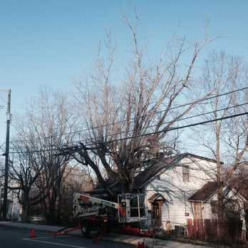 MMM Tree Service - Tree in center directly behind the bucket lift was removed completely. All work is completed with complete awareness of surro... - Tree Services Near Me MMM Tree Service - Tree in center directly behind the bucket lift was removed completely. All work is completed with complete awareness of surro... - Tree Services Near Me