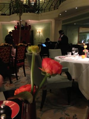 La Bauhinia by null