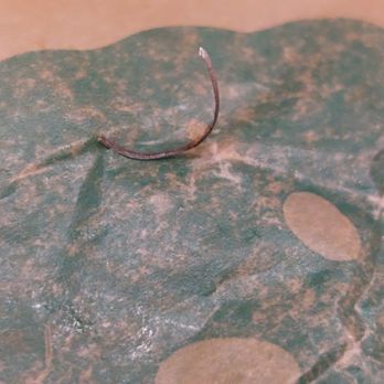 Burger King - Metal Fragment in Food - Burgers Near Me - North Port, Florida