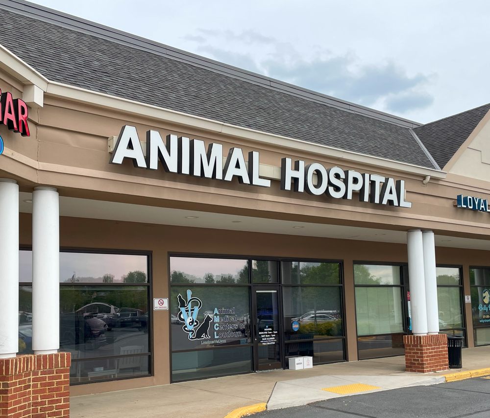 ANIMAL MEDICAL CENTERS OF LOUDOUN Updated May 2024 88 Photos & 45