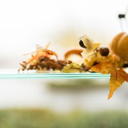 Vision Institute Northwest