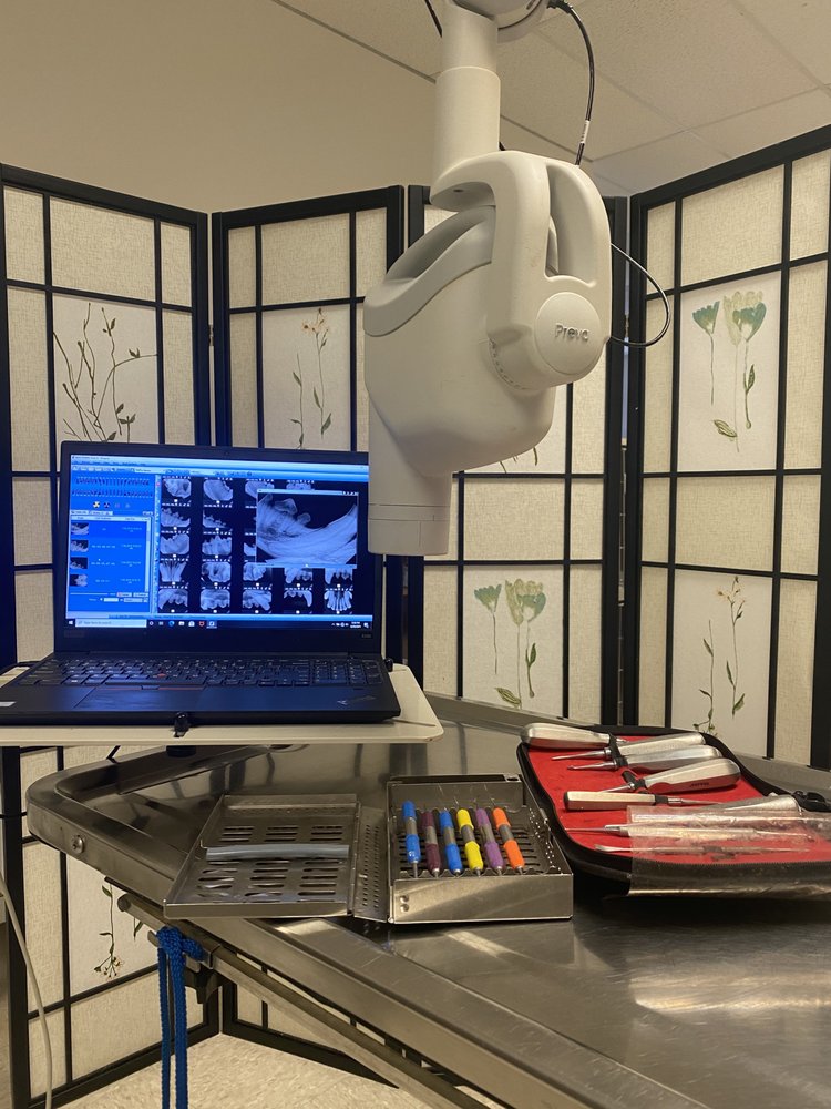 Reviews of ACADIANA WEST ANIMAL CLINIC Updated September 2024 10