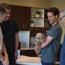 MacKay's Animal Hospital