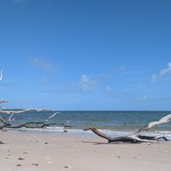 Black Rock Beach