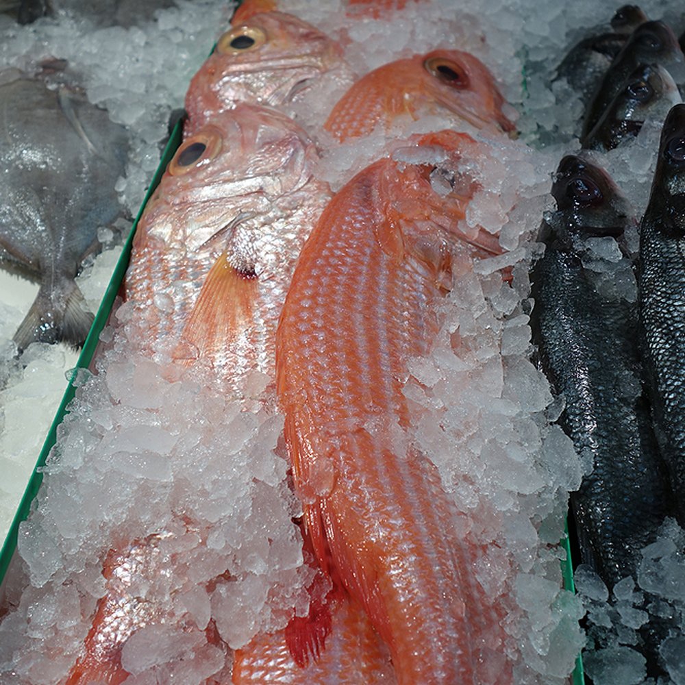 99 Ranch Market - Seafood Markets Near Me - Dublin, California 99 Ranch Market - Seafood Markets Near Me - Dublin, California