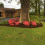 Photo of Volunteer Lawn Care and More