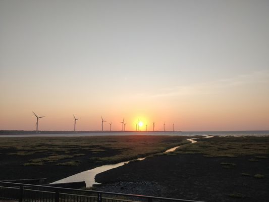 Gaomei Wetlands by null