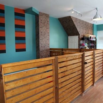 Barkyard - Pet Sitting Near Me - Toronto, Ontario