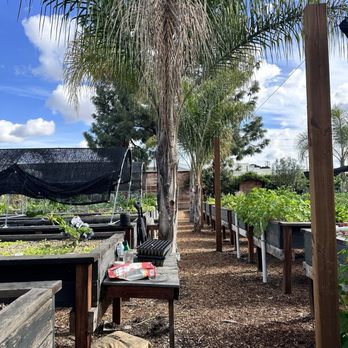 Riverbed Farm photo 10