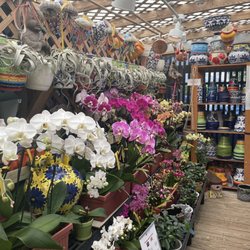 Giverny Gardens - All your orchid needs