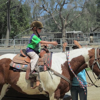 Country Trails and Riding School - Little man saddles up. - Horseback Riding Near Me - Orange, California Country Trails and Riding School - Little man saddles up. - Horseback Riding Near Me - Orange, California