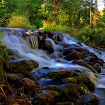Bonneyville Mill County Park - Waterfall - Parks Near Me - Bristol, Indiana
