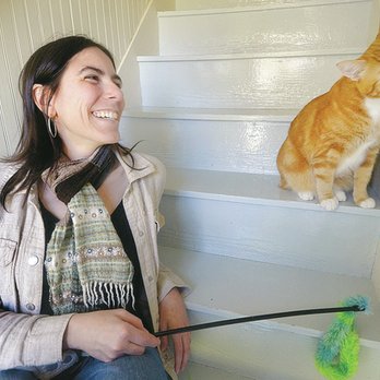 Cats Meow - Animal Shelters Near Me - Anacortes, Washington Cats Meow - Animal Shelters Near Me - Anacortes, Washington