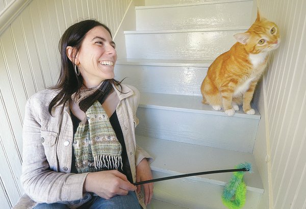 Cats Meow Image