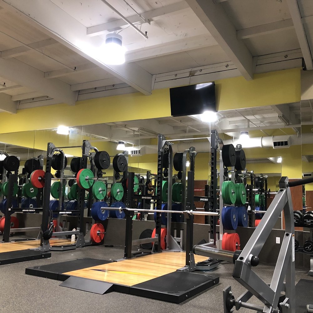 LA Fitness - Olympic racks for squats and dead lifts with bumper plates! - Gyms Near Me - Sachse, Texas LA Fitness - Olympic racks for squats and dead lifts with bumper plates! - Gyms Near Me - Sachse, Texas
