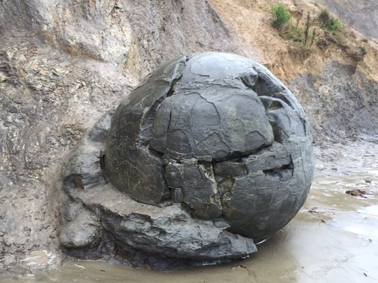 Moeraki Boulders Beach by null